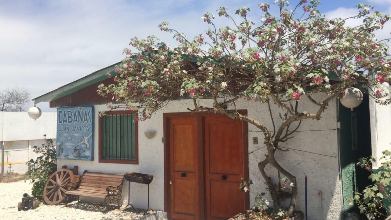 Cabanas Juan Gaviota Punta de Choros Esterno foto