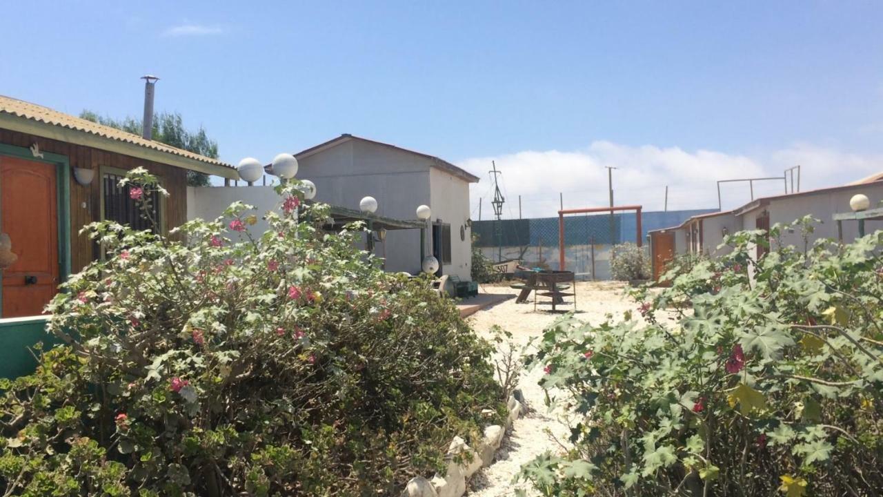 Cabanas Juan Gaviota Punta de Choros Esterno foto