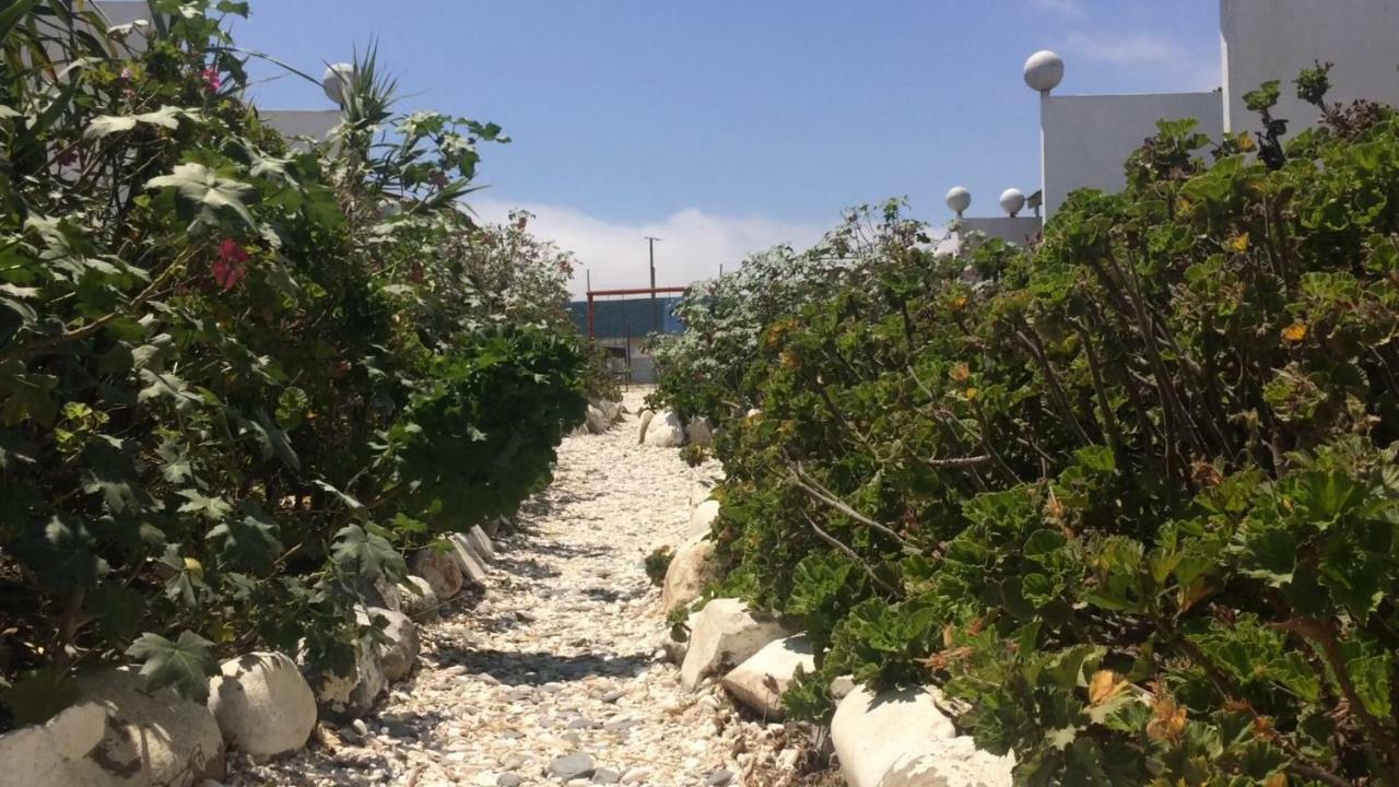 Cabanas Juan Gaviota Punta de Choros Esterno foto