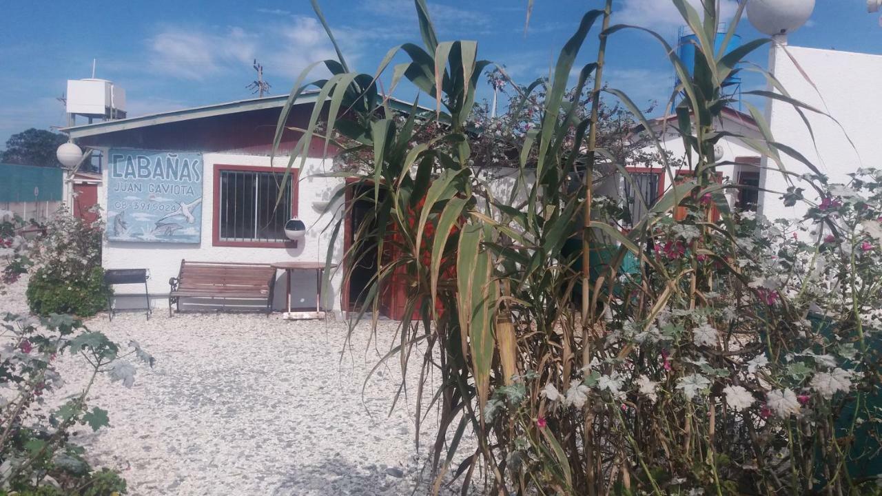 Cabanas Juan Gaviota Punta de Choros Esterno foto