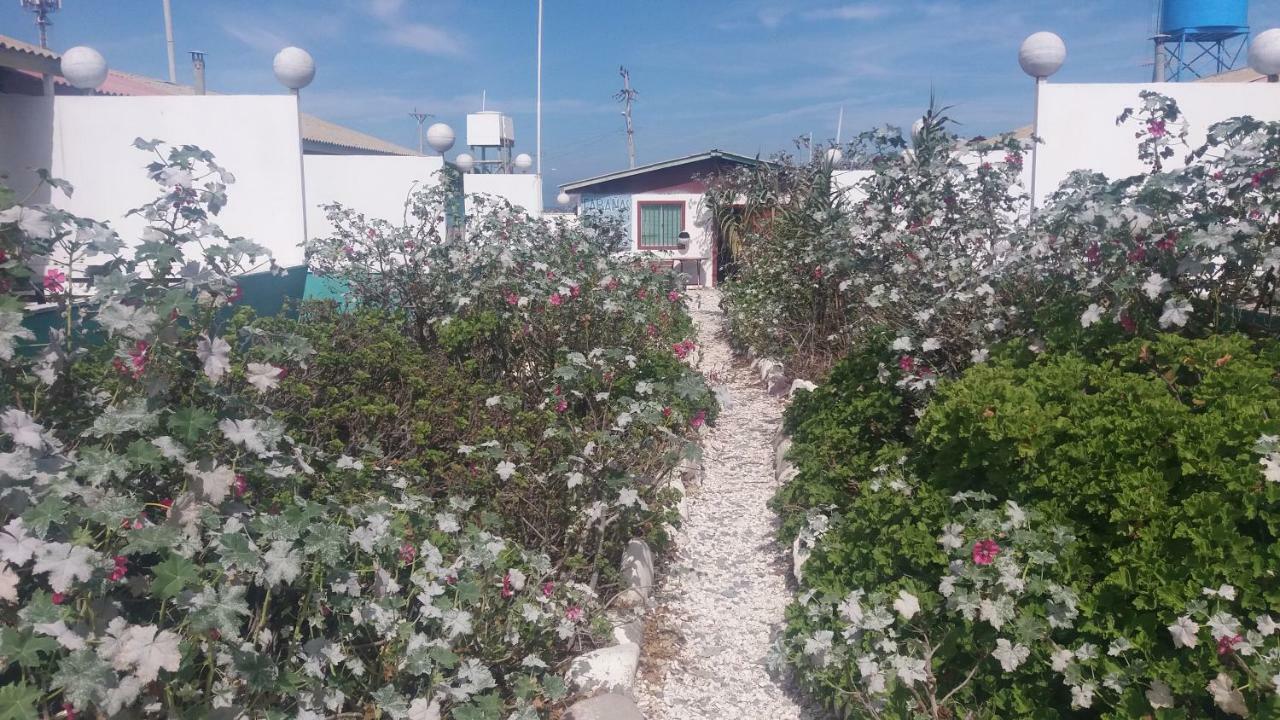 Cabanas Juan Gaviota Punta de Choros Esterno foto