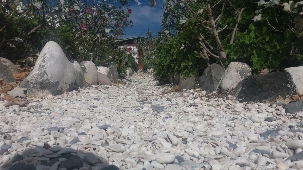 Cabanas Juan Gaviota Punta de Choros Esterno foto