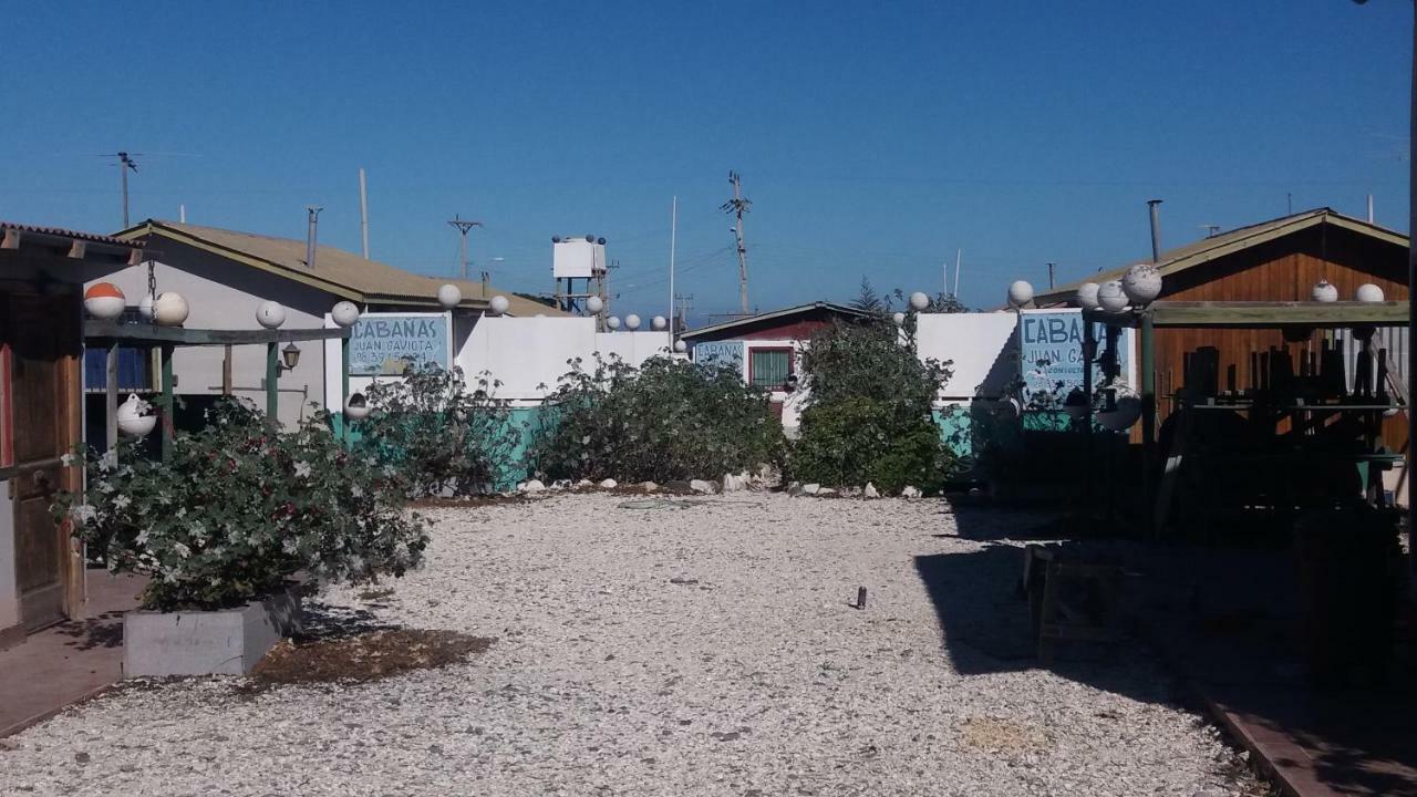 Cabanas Juan Gaviota Punta de Choros Esterno foto